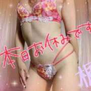 楓(かえで) 🌸おはよぉ〜っ🌸(((o(*゜▽゜*)o)))♡ 相模原人妻城