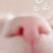 ヒメ日記 2025/08/07 18:44 投稿 えるぜ もしも清楚な20、30代の妻とキスイキできたら横浜店