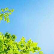 ヒメ日記 2025/07/21 15:25 投稿 れいこ 奥様鉄道69 東京店