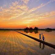 ヒメ日記 2025/08/28 15:15 投稿 れいこ 奥様鉄道69 東京店