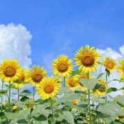 ヒメ日記 2025/09/15 10:44 投稿 れいこ 奥様鉄道69 東京店