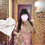 ヒメ日記 2026/05/13 14:15 投稿 月野まゆ なめこ治療院（横浜ハレ系）