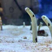 ヒメ日記 2025/07/09 18:57 投稿 みあ 池袋人妻城