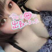 ヒメ日記 2026/02/17 15:12 投稿 みあ 池袋人妻城