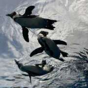 ヒメ日記 2026/03/18 18:18 投稿 みあ 池袋人妻城