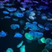 ヒメ日記 2026/04/01 13:48 投稿 みあ 池袋人妻城