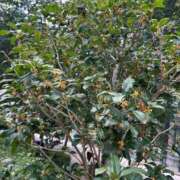 ヒメ日記 2025/10/18 12:26 投稿 ゆりな 新宿平成女学園