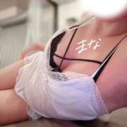 ヒメ日記 2025/09/15 15:29 投稿 まな アネックスジャパン