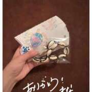 ヒメ日記 2026/04/01 19:39 投稿 まな アネックスジャパン