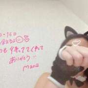 まな やっと会える アネックスジャパン