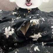 ヒメ日記 2025/08/06 20:32 投稿 きずな ごほうびSPA京都店