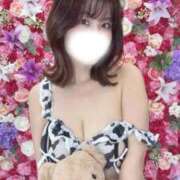 ヒメ日記 2025/12/29 12:11 投稿 れい ごほうびSPA京都店