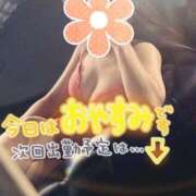 ヒメ日記 2025/09/29 12:03 投稿 みさき 新橋夜這右衛門娼店～夜這・即尺・痴漢・人妻～