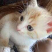 ヒメ日記 2025/06/27 07:55 投稿 かな if(イフ) 中村店