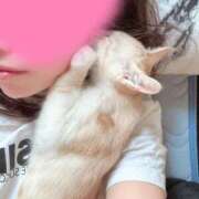 ヒメ日記 2025/07/03 07:25 投稿 かな if(イフ) 中村店