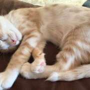 ヒメ日記 2025/07/08 07:05 投稿 かな if(イフ) 中村店