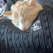 ヒメ日記 2025/07/22 07:28 投稿 かな if(イフ) 中村店