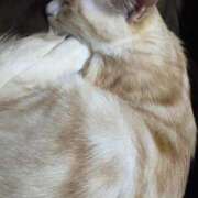 ヒメ日記 2025/07/23 07:05 投稿 かな if(イフ) 中村店