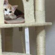 ヒメ日記 2025/07/26 06:55 投稿 かな if(イフ) 中村店