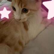 ヒメ日記 2025/08/19 11:35 投稿 かな if(イフ) 中村店