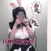 ヒメ日記 2025/06/29 01:08 投稿 ももたん・爆乳 プロフィール奈良店