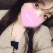 ヒメ日記 2026/04/15 14:19 投稿 しずく先生 舐めたくてグループ〜ペロンチョ学園〜八王子校