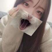 ヒメ日記 2026/04/16 14:09 投稿 しずく先生 舐めたくてグループ〜ペロンチョ学園〜八王子校