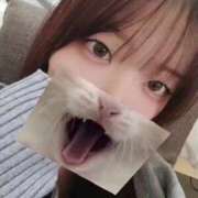 ヒメ日記 2026/08/12 16:09 投稿 しずく先生 舐めたくてグループ〜ペロンチョ学園〜八王子校
