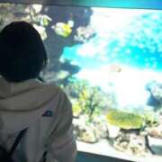 ヒメ日記 2025/09/29 00:42 投稿 りお My Essentials