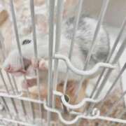 ヒメ日記 2025/11/19 20:20 投稿 りお My Essentials