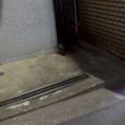 ヒメ日記 2025/11/22 20:10 投稿 りお My Essentials