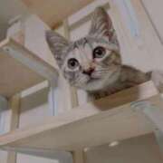 ヒメ日記 2025/11/29 20:01 投稿 りお My Essentials