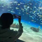 ヒメ日記 2025/12/01 20:01 投稿 りお My Essentials