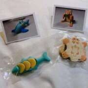 ヒメ日記 2026/02/02 21:00 投稿 りお My Essentials