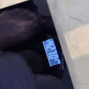 ヒメ日記 2026/03/16 19:01 投稿 りお My Essentials