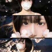 ヒメ日記 2026/03/18 12:01 投稿 りお My Essentials