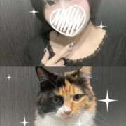 ヒメ日記 2026/04/06 18:02 投稿 りお My Essentials