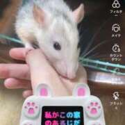 ヒメ日記 2026/05/14 12:01 投稿 りお My Essentials