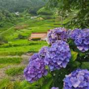 ヒメ日記 2025/07/11 14:54 投稿 村上まや 五十路マダム　広島店