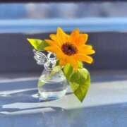 ヒメ日記 2025/07/12 13:49 投稿 中川まなみ 大阪ぽっちゃり妻 谷九店