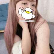 ヒメ日記 2025/09/24 15:58 投稿 つばさ 君とふわふわプリンセスin熊谷