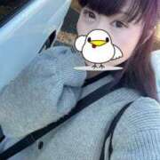 ヒメ日記 2026/01/13 09:46 投稿 つばさ 君とふわふわプリンセスin熊谷