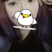 ヒメ日記 2026/01/13 16:14 投稿 つばさ 君とふわふわプリンセスin熊谷