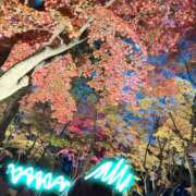 ヒメ日記 2025/10/31 12:12 投稿 ゆり Lip Trip