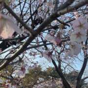 ヒメ日記 2026/03/17 08:16 投稿 ゆり Lip Trip