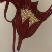 ヒメ日記 2025/07/26 08:16 投稿 杏 PLUS十三店