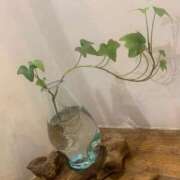 ヒメ日記 2025/08/18 15:28 投稿 杏 PLUS十三店