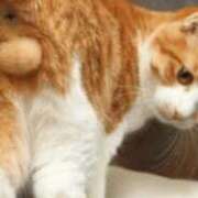 ヒメ日記 2025/09/09 07:48 投稿 杏 PLUS十三店