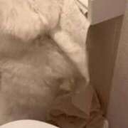 ヒメ日記 2025/10/01 15:38 投稿 杏 PLUS十三店