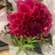 ヒメ日記 2025/10/05 20:28 投稿 杏 PLUS十三店